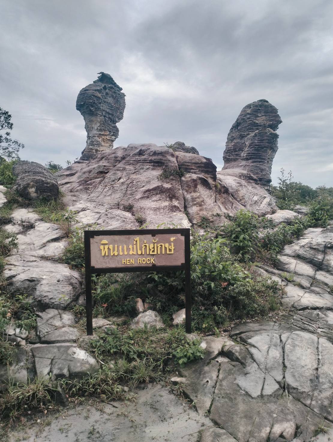 เช่ารถตู้สกลนคร